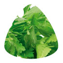 Parsley